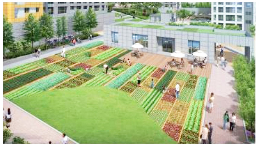 단지조경06